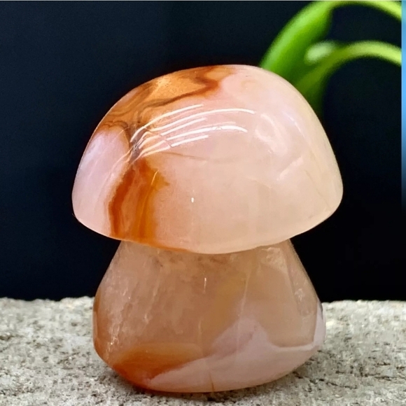 40G Natural Banded Silk Agate Mushroom Crystal Natural Gemstone Madagascar - Picture 4 of 13